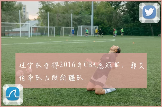 辽宁队夺得2016年CBA总冠军，郭艾伦率队击败新疆队