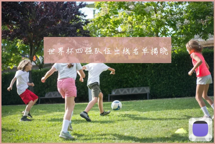 世界杯四强队伍出线名单揭晓